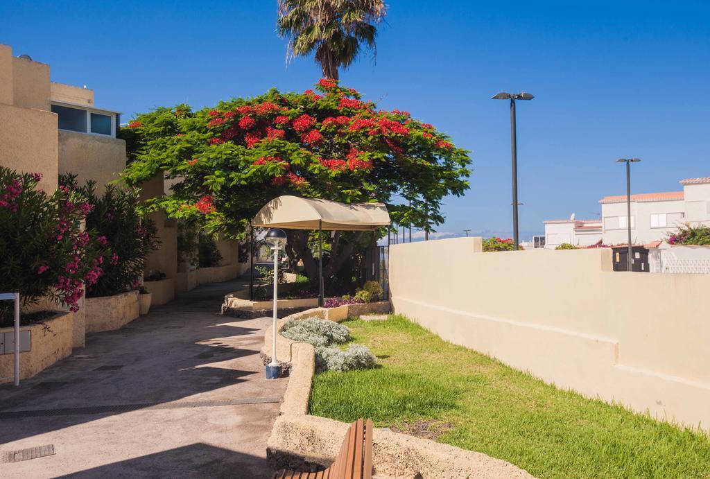 Apartamentos El Cortijo بلايا ذي لاس أميريكاس الغرفة الصورة
