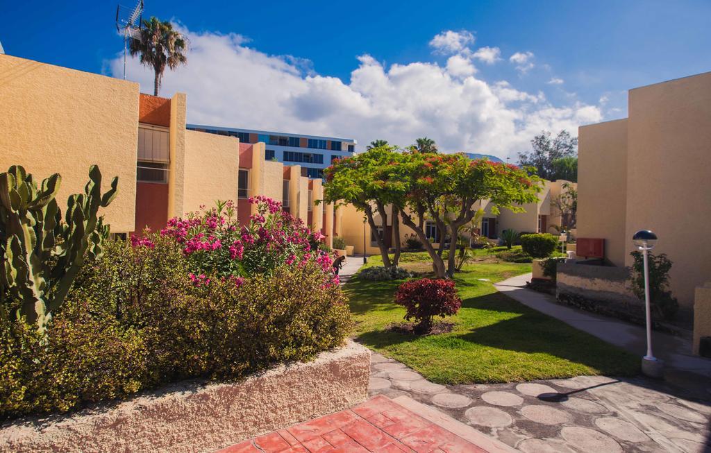 Apartamentos El Cortijo بلايا ذي لاس أميريكاس الغرفة الصورة